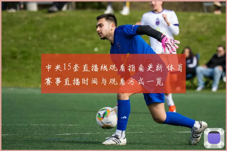 中央15套直播线观看指南更新 体育赛事直播时间与观看方式一览